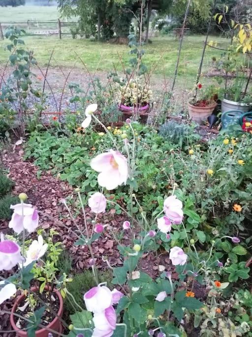 Les Hortensias La Souris Des Champs Étival-Clairefontaine 外观 照片