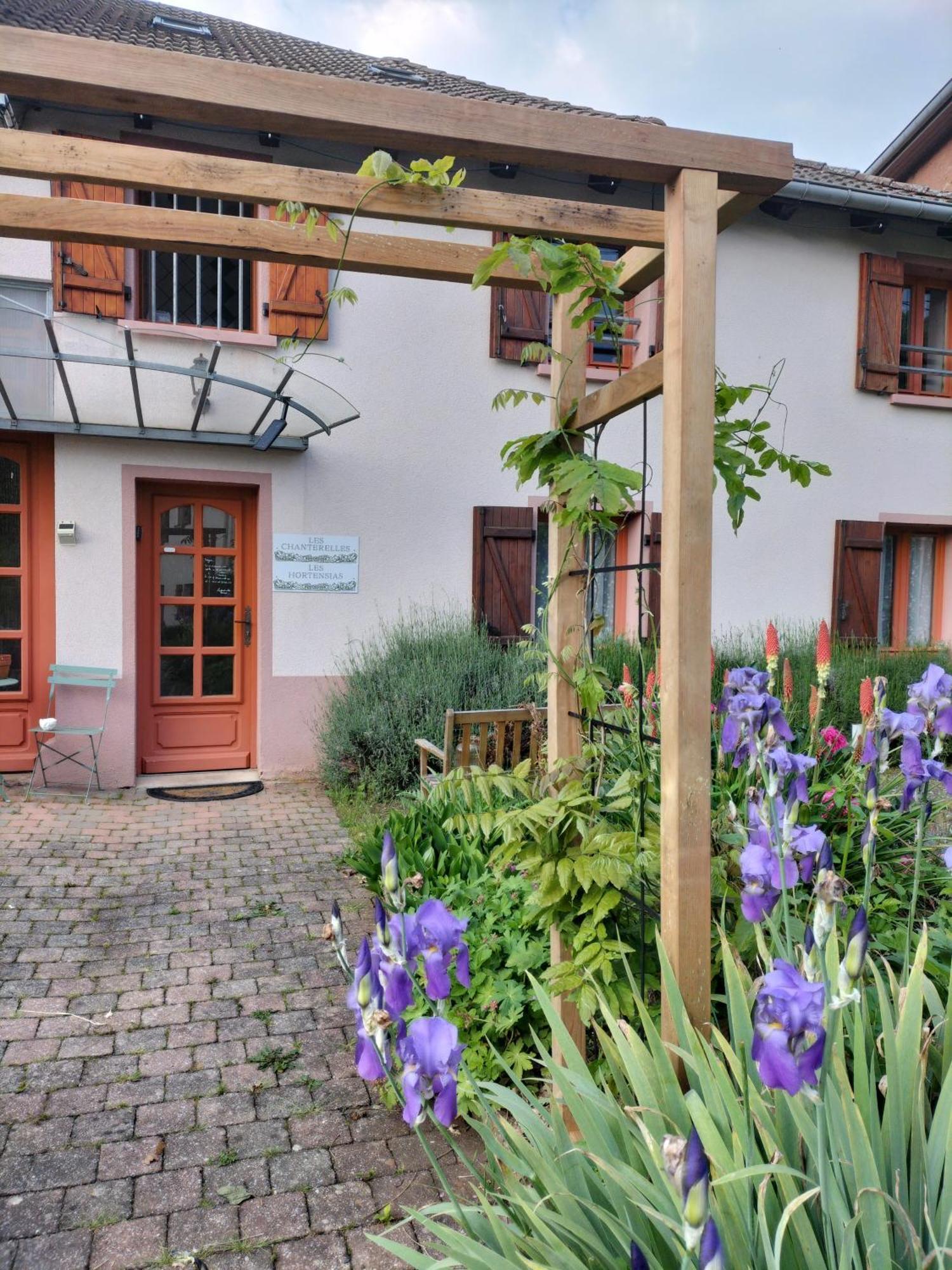 Les Hortensias La Souris Des Champs Étival-Clairefontaine 外观 照片